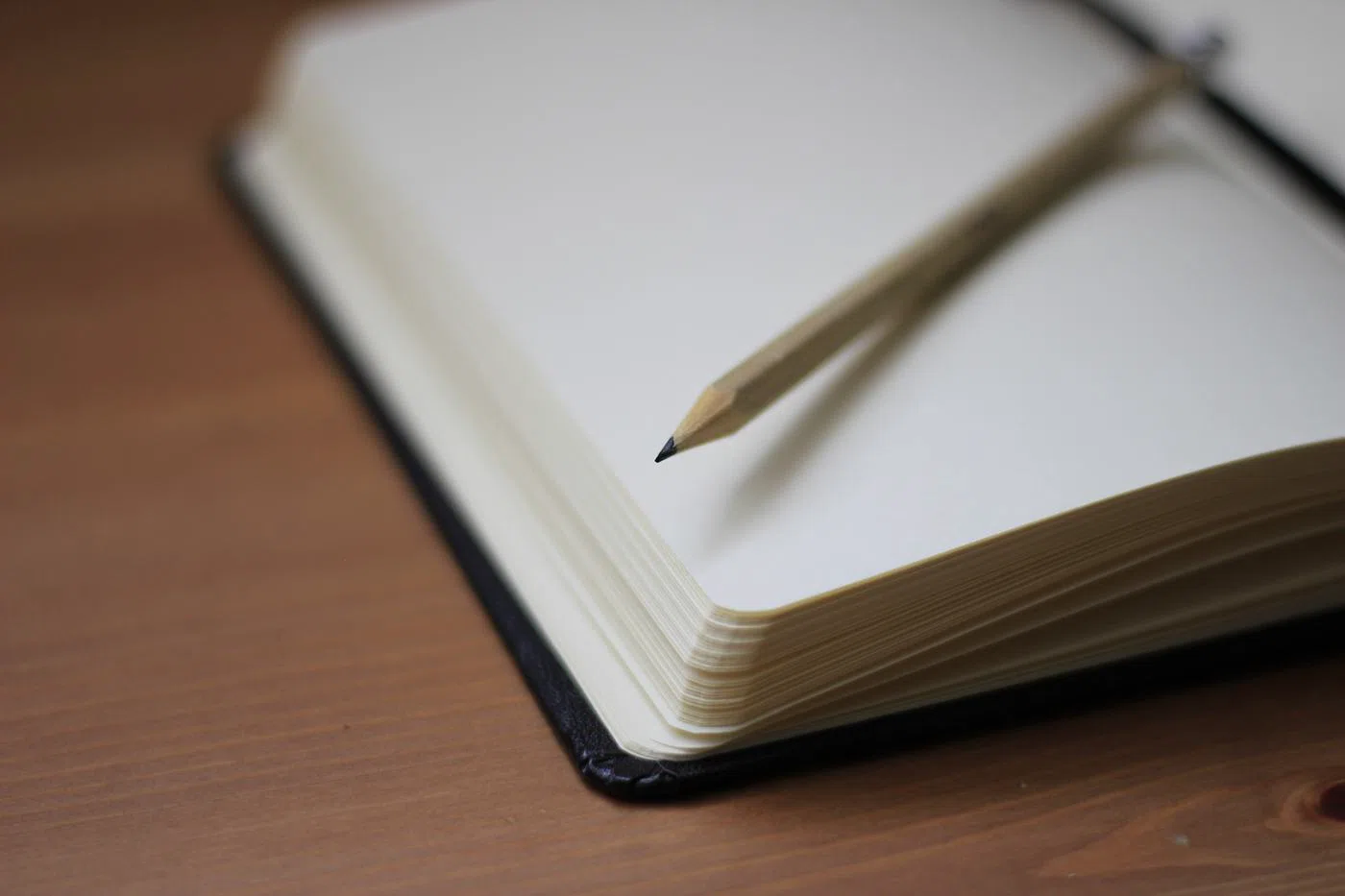 The notebook open on a desk, its pages unlined.