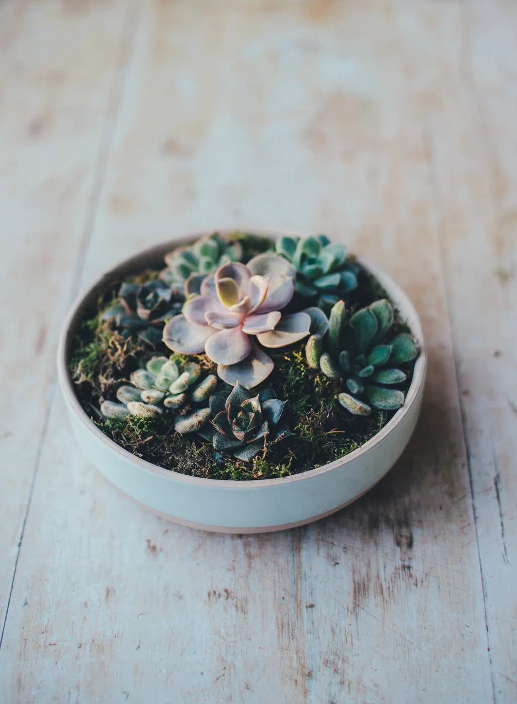 A pale stoneware bowl on a painted board.